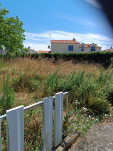 Photo de galerie - Tonte de pelouse - Débroussaillage