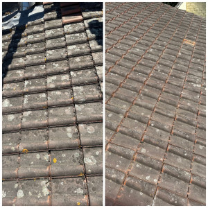 Photo de galerie - Couverture - Toiture