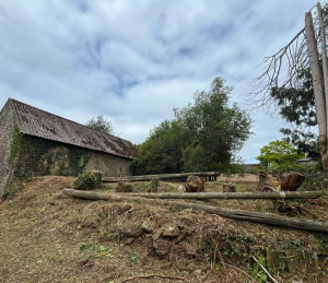 Photo de galerie - Tonte de pelouse - Débroussaillage
