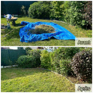 Photo de galerie - Taille de haies et d'arbustes