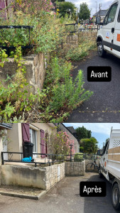 Photo de galerie - Débroussaillage 