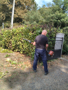 Photo de galerie - Jardinier sérieux et soigneux, je vous propose mes services pour l’entretien de vos espaces verts : tonte, taille, débroussaillage, désherbage et nettoyage de jardin. Travail soigné et efficace !