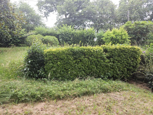 Photo de galerie - Avent 