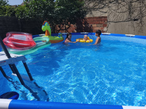 Photo de galerie - Mes loulous 