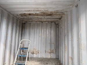 Photo de galerie - Peinture - Tapisserie