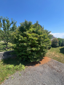 Photo de galerie - Avant