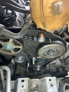 Photo de galerie - Distribution 2l tdi 