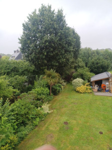 Photo de galerie - Propre