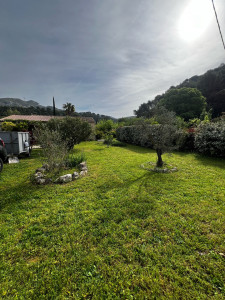 Photo de galerie - Tonte d’une parcelle engazonné 