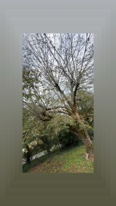 Photo de galerie - Bricolage et multi services