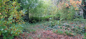 Photo de galerie - Jardinier