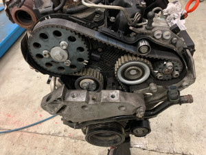 Photo de galerie - Distribution 