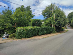Photo de galerie - <APRÈS> Rabattage de haie de 1m50.