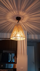 Photo de galerie - Changement des lampes spécifique 