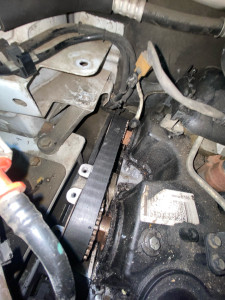 Photo de galerie - Distribution 