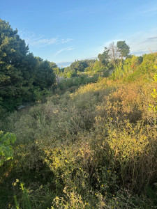 Photo de galerie - Drebroussaillage grande surface avant 