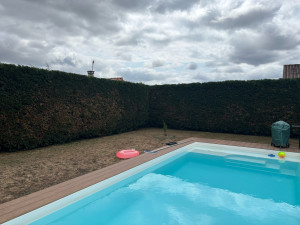 Photo de galerie - Taille d’HAIE de Tuya, étage, plus taille, coté