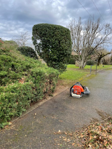 Photo de galerie - Paysagiste