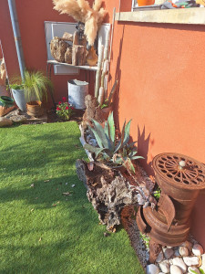 Photo de galerie - Deco exterieur