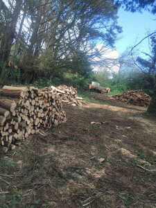 Photo de galerie - Fin de chantier