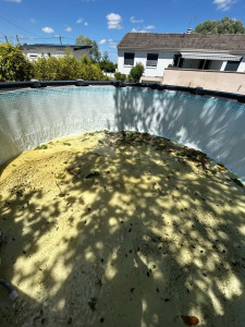 Photo de galerie - Nettoyage complet de piscine hors sol 