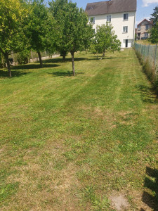 Photo de galerie - Avec ce beau temps, on continue les tontes.