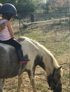 Photo de galerie - Baby sitting