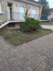 Photo de galerie - Paysagiste - Aménagement du jardin