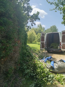 Photo de galerie - Taille de haies et d'arbustes