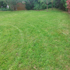 Photo de galerie - Tonte de pelouse - Débroussaillage