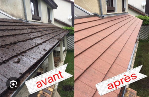 Photo de galerie - Nettoyage toiture anti mousse