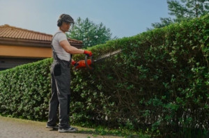Photo de galerie - Bonjour, je suis quelqu’un de très motivé travailleur et ponctuel. Merci