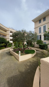 Photo de galerie - Elagage et coupe d'arbres