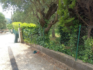 Photo de galerie - Clôture Grillage