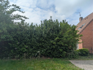 Photo de galerie - Avant 