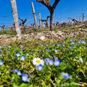 Photo de galerie - Nous répondons à vous besoins 