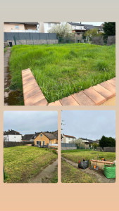 Photo de galerie - Tonte de pelouse - Débroussaillage