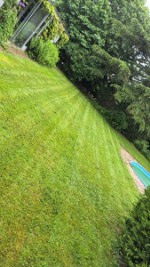 Photo de galerie - Tonte de 2000m2 