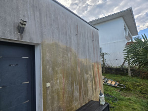 Photo de galerie - Peinture - Tapisserie