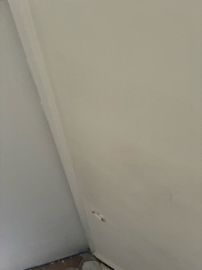 Photo de galerie - Bordeaux peinture a quinconces 