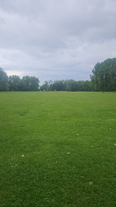 Photo de galerie - Tonte de pelouse - Débroussaillage