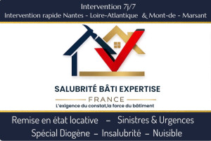 Photo de galerie - Peinture - Tapisserie