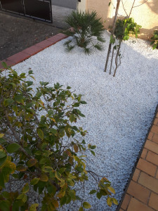 Photo de galerie - Creation des espaces verts 


