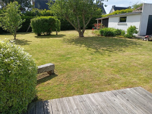 Photo de galerie - Tonte de pelouse 