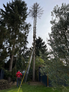 Photo de galerie - Avant