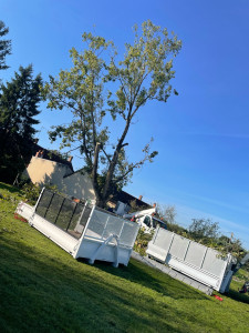 Photo de galerie - Elagage et coupe d'arbres