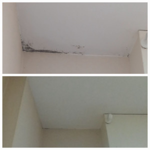 Photo de galerie - Traitement d'un dégâts des eaux (application d'une peinture anti humidité)