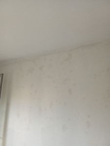 Photo de galerie - Nettoyage de la moisissure avant peinture ? plafond 