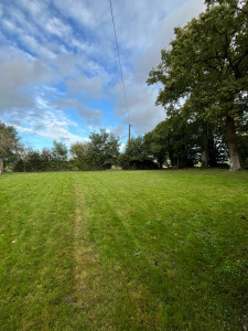 Photo de galerie - Tonte de pelouse 