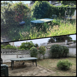 Photo de galerie - Tonte de pelouse - Débroussaillage